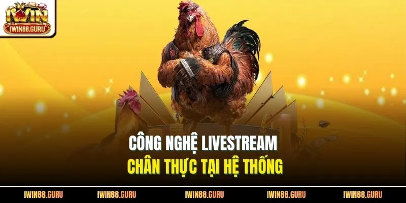 Công nghệ livestream chân thực tại hệ thống