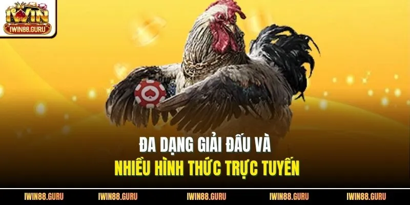Đa dạng giải đấu và nhiều hình thức trực tuyến