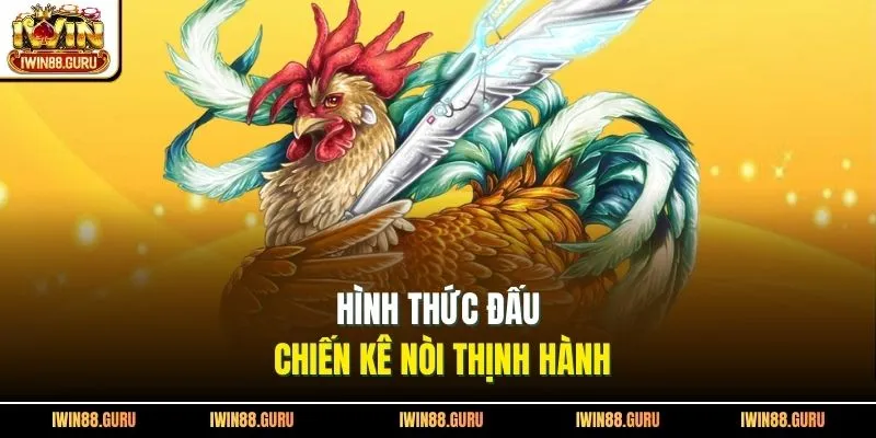 Hình thức đấu chiến kê nòi thịnh hành