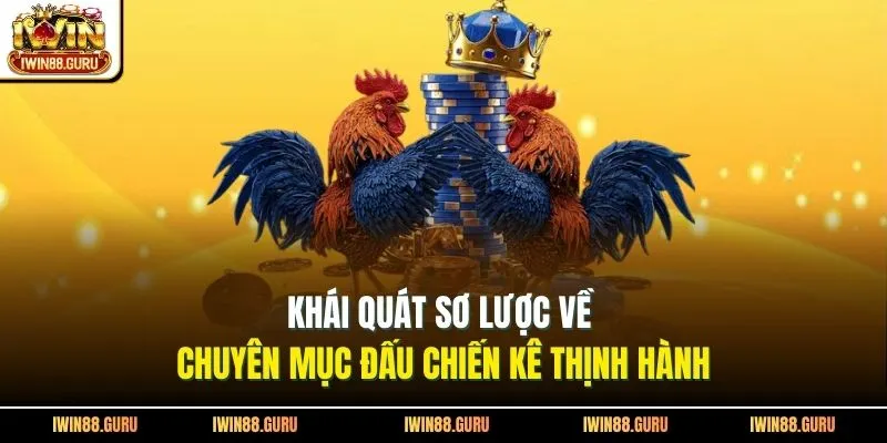 Khái quát sơ lược về chuyên mục đấu chiến kê thịnh hành