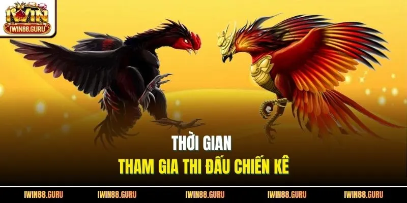 Thời gian tham gia thi đấu chiến kê